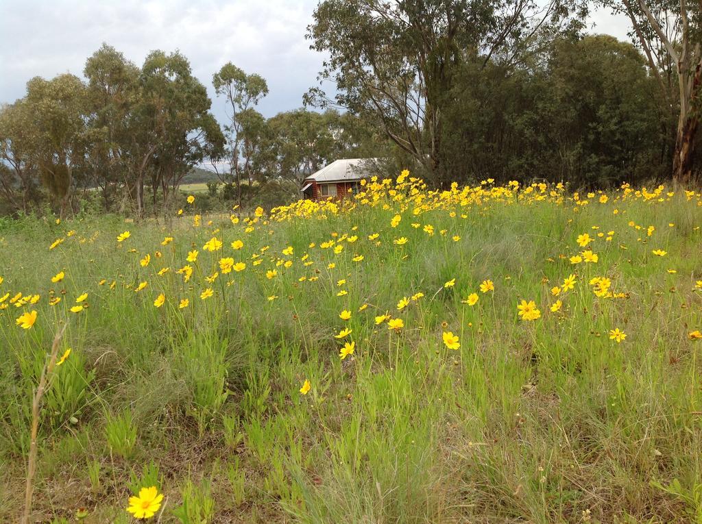 Fergies Hill Spa Cottage @ Granite Ridge Wines Ballandean Extérieur photo