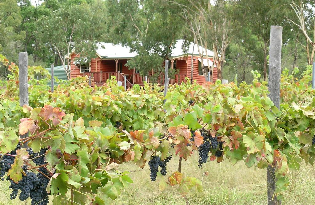 Fergies Hill Spa Cottage @ Granite Ridge Wines Ballandean Extérieur photo